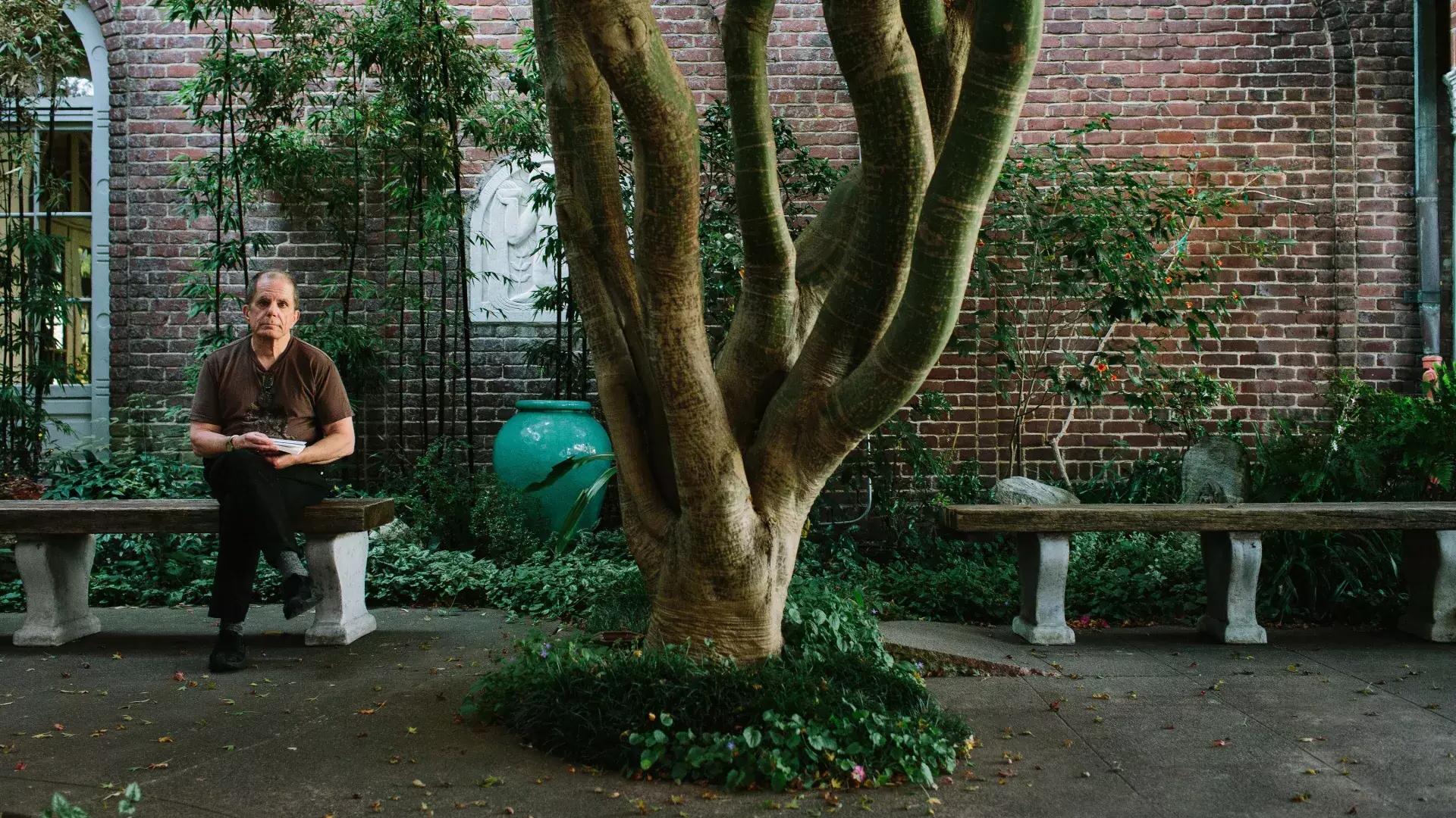 丹尼斯·麦克纳利坐在一棵树旁