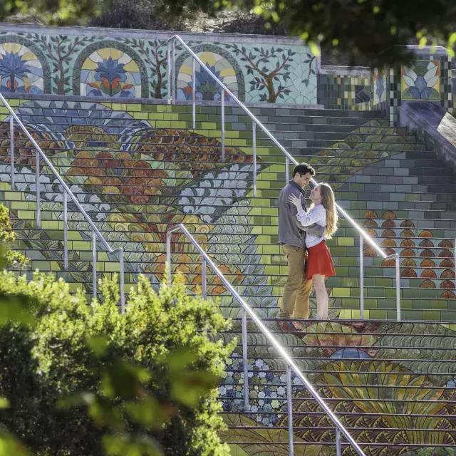 一对站在不同颜色缤纷的林肯公园阶梯上的夫妇的照片