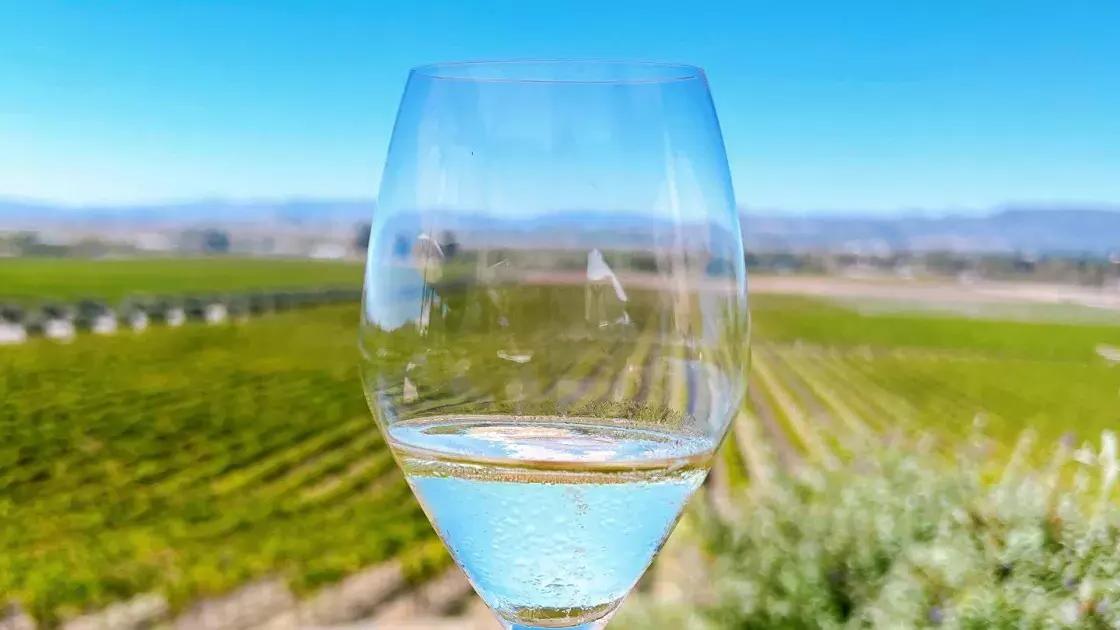 A glass of wine held up in a Sonoma vineyard.